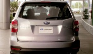 Subaru - voiture, "Dogs, Tailgate" - janvier 2013 - teaser