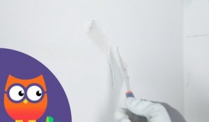 Comment appliquer un enduit taloché au mur (Ooreka.fr)