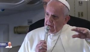 Les couples catholiques n'ont pas à procréer «comme des lapins» pour le pape François