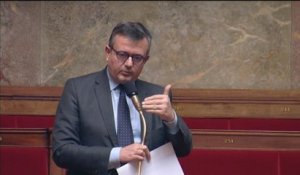 Loi Macron : l'Assemblée encadre l'utilisation du drapeau tricolore sur les produits
