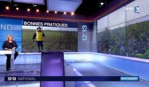 Ecophyto : un plan pour réduire l'utilisation des pesticides en France