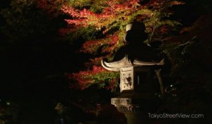 Tokyo Rikugien Parc la Nuit
