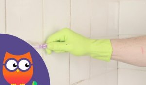 Comment nettoyer les joints de carrelage (Ooreka.fr)