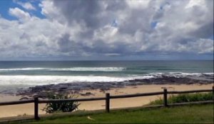 Un surfeur japonais dévoré par un requin en Australie