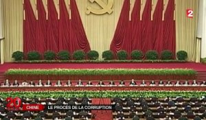 Lutte contre la corruption en Chine : des milliardaires exécutés pour l'exemple