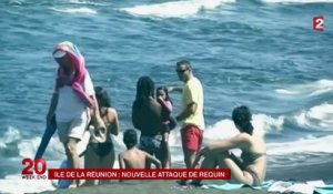 Nouvelle attaque de requin à La Réunion