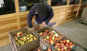 Chômage:plus de 10000 offres dans l'agroalimentaire non pourvues