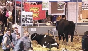 Pernaut : "Je n'attends pas que l'agriculteur vienne à Paris pour en parler "