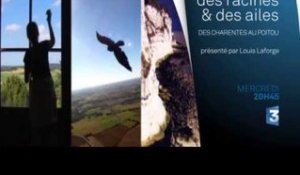 DRDA : Des Charentes au Poitou - Bande-annonce
