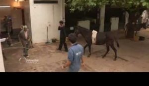 Fès, à dos d'âne - Faut Pas Rêver au Maroc (extrait)