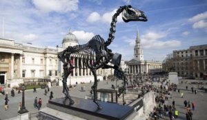 Londres : un squelette de cheval installé sur Trafalgar Square