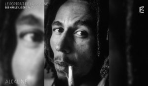 Alcaline, le Mag : Le portrait de Bob Marley