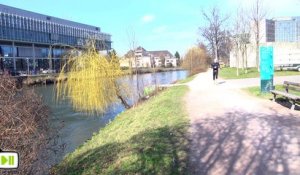 Une femme sauve son bébé tombé dans l'eau à Strasbourg