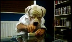 Un chien qui mange à table, Hilarant...