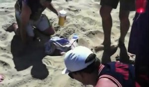Comment attraper une mouette à la plage