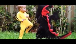 le méchant dragon en peluche vs DragonBaby !!!