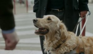 « Partout avec mon chien guide » : l'hilarant clip de campagne