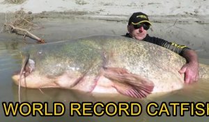 Incroyable : Il a pêché un silure géant de 127 kilos !