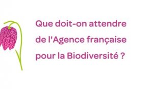 La loi biodiversité et l'Agence française de la biodiversité