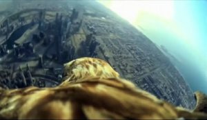 La ville de Dubaï vue depuis un aigle en vol