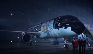 Un Airbus A320 aux couleurs de Tintin