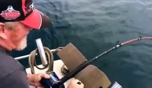 Un pécheur se fait voler sa prise par un requin blanc!