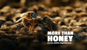 Bande-annonce : Des abeilles et des hommes - VF
