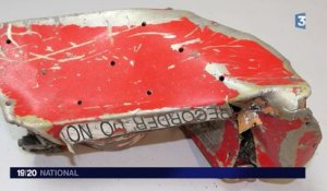 Crash de l'A320 : le copilote serait responsable