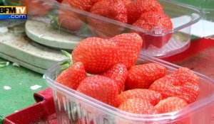 Invasion de fraises au rayon fruits: la saison des gariguettes a commencé