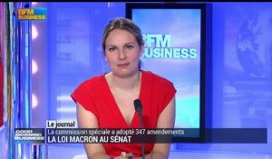 La loi Macron au Sénat