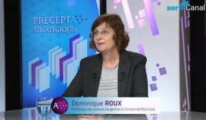 Dominique Roux, Xerfi Canal Marketing et résistance du consommateur - Synthèse
