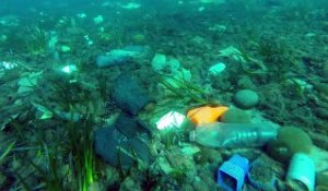 Un plongeur filme les fonds marins de Cannes
