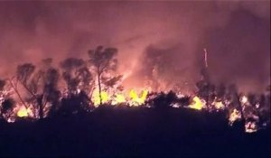 Californie : un incontrôlable feu de broussailles menace 300 habitations