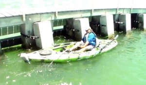 Il pêche un mérou géant de 250 kg en kayak !