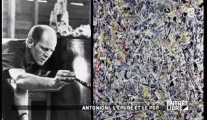 Antonioni, l'épuré et le pop