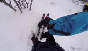 Ski Backflip Tandem