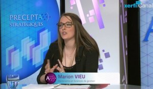 Marion Vieu, Xerfi Canal Les multinationales émergentes - Synthèse