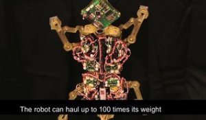 Un mini robot qui tire 100 fois son poids