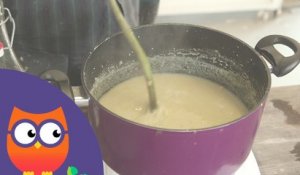 Comment faire et utiliser de la bouillie nantaise (Ooreka.fr)