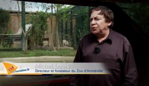 Tiger World 2015 Zoo d'Amnéville