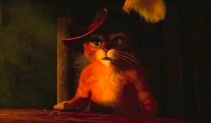 Bande-annonce : Le Chat Potté VF