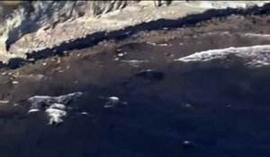 Californie : une fuite de pétrole souille des kilomètres de plage à Santa Barbara