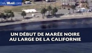 Un début de marée noire atteint les côtes de la Californie