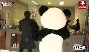 Exclu Vidéo : Jordan De Luxe : il veut faire toiletter son panda !