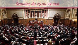 Sénat.Hebdo, du 25 au 29 mai 2015