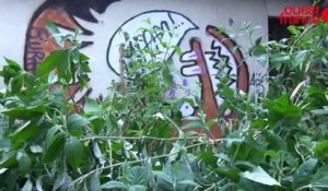 Rennes : la maison de Maryvonne totalement vandalisée par les squatteurs