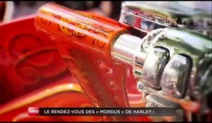 Insolite : des Harley Davidson sur la Côte d'Azur (Emission Turbo du 07/06/2015)