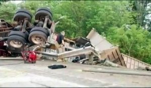 Plus de 1 000 porcelets secourus après l'accident d'un camion aux Etats-Unis