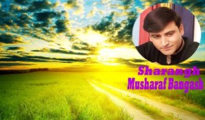 Musharaf Bangash | "Sharangh" | Audio Jukebox
