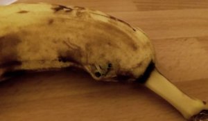 Une araignée sort d'une banane : terrifiant!